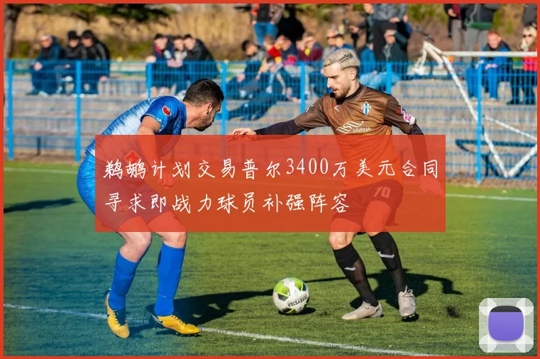 鹈鹕计划交易普尔3400万美元合同寻求即战力球员补强阵容