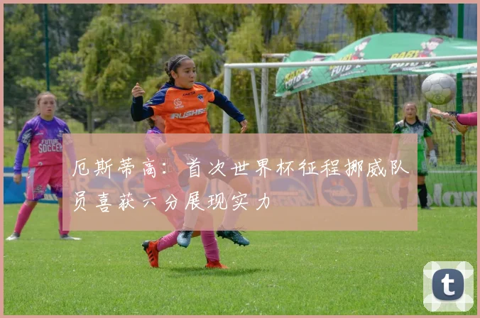 厄斯蒂高：首次世界杯征程挪威队员喜获六分展现实力